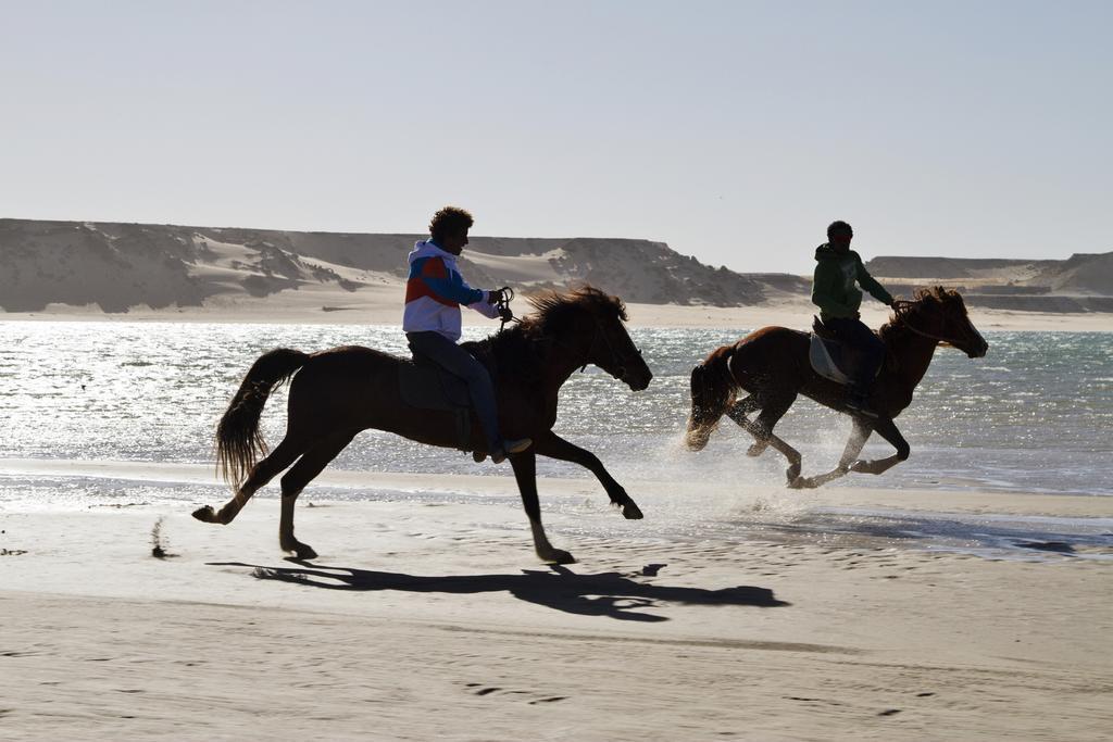 Dakhla Evasion Hotel Екстериор снимка